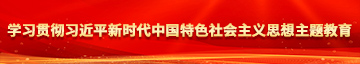 操B视频免费在线观看学习贯彻习近平新时代中国特色社会主义思想主题教育